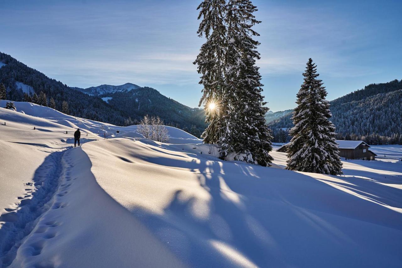 Hubertus Mountain Refugio Allgaeu Бальдершванг Екстер'єр фото