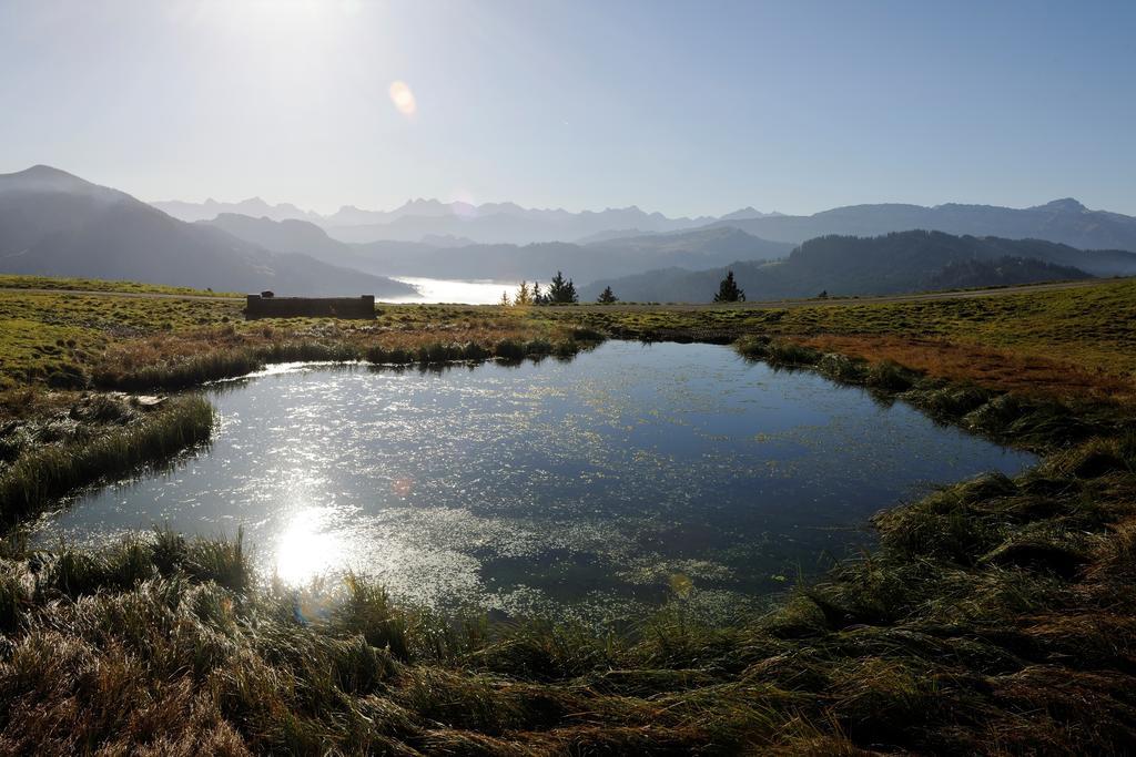 Hubertus Mountain Refugio Allgaeu Бальдершванг Екстер'єр фото